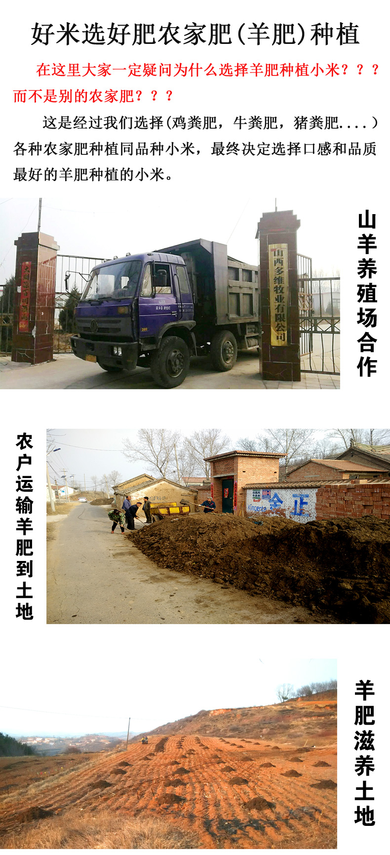详情4.jpg
