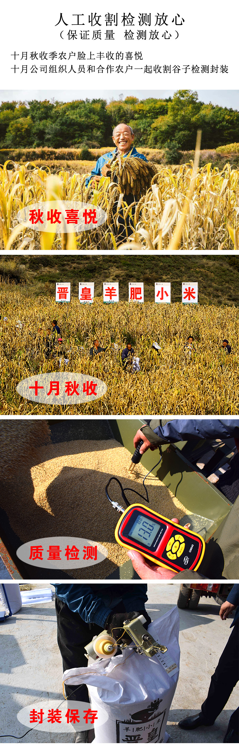详情5.jpg