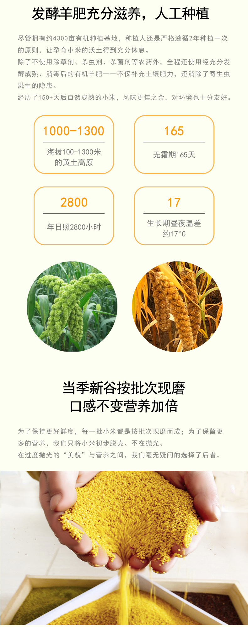 详情4.jpg